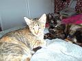 PIC01759