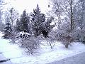 PIC01241